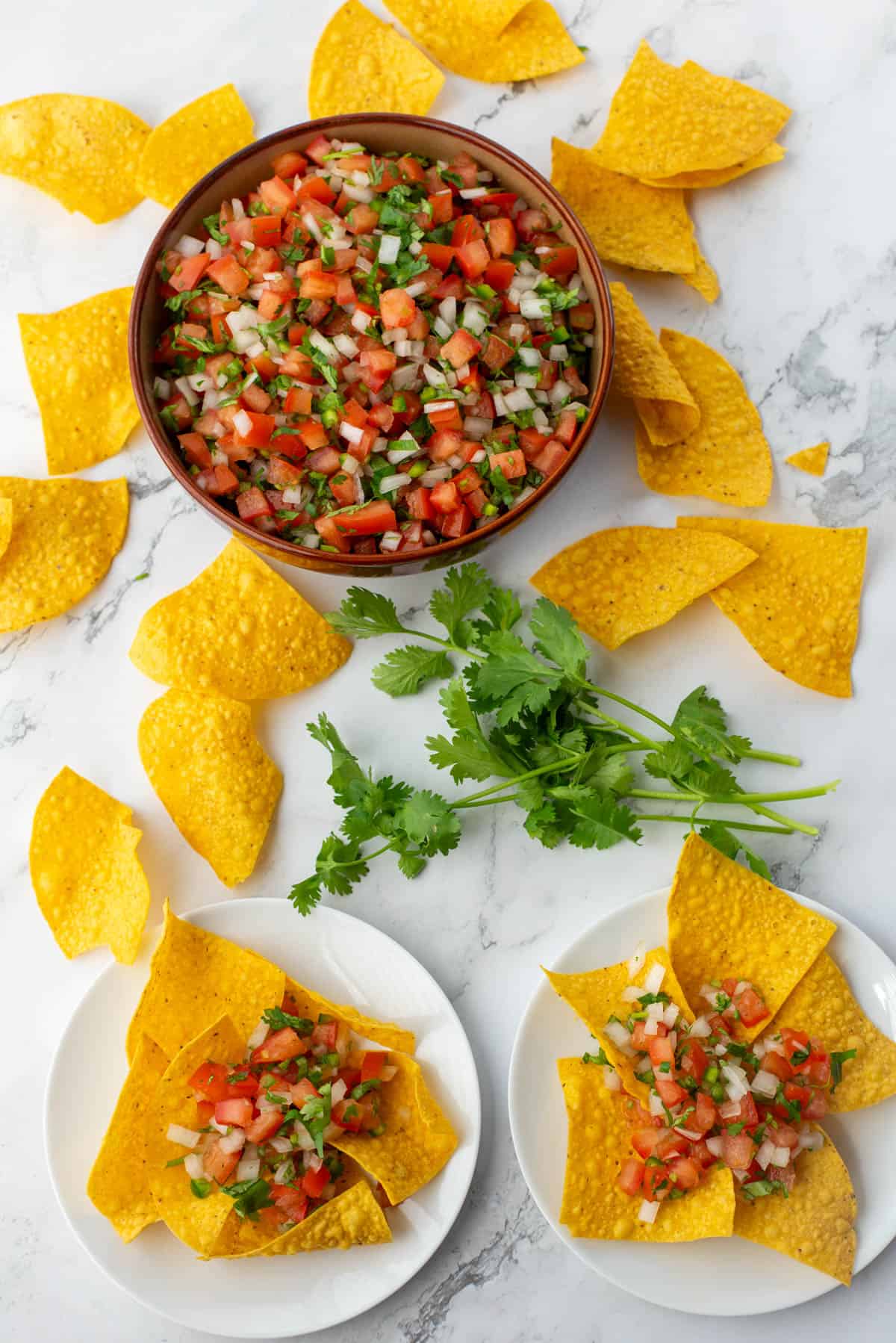 Chips and Pico de Gallo on plates with bowl of Pico de Gallo in background