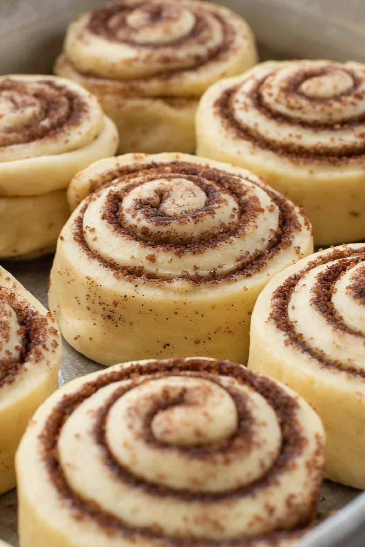 Close up of cinnamon rolls ready to be baked