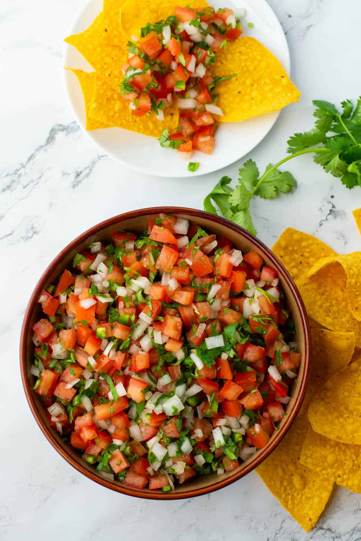 Pico de Gallo in bowl with chips