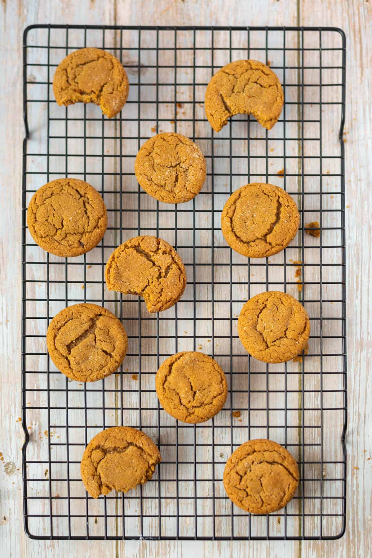 11 chewy ginger molasses cookies on a cooling rack. Some with bites taken out.