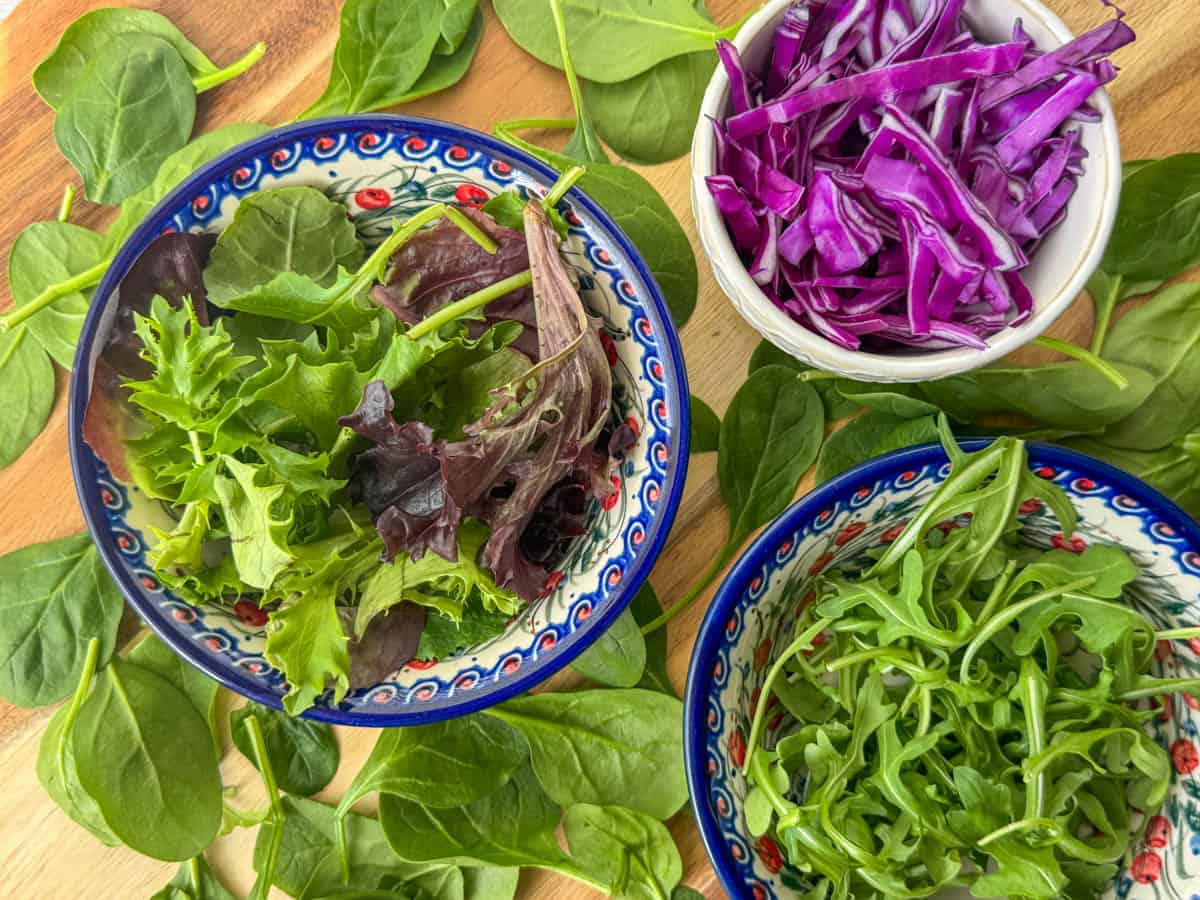 Photo of lettuce choices for building a salad: spring lettuce mix, arugula, spinach and cabbage