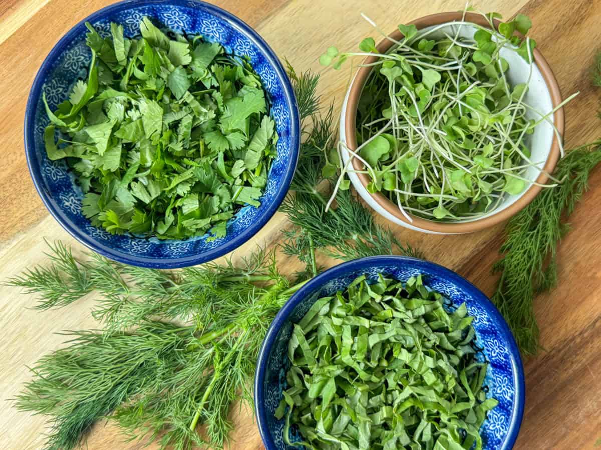 Photo of fresh herb choices for making a salad: chopped cilantro, chopped basil, broccoli micro greens and dill