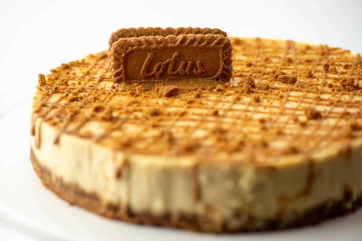 Side view of partial Biscoff Cookie Butter cheesecake decorated with drizzled cookie butter and crumbled cookies