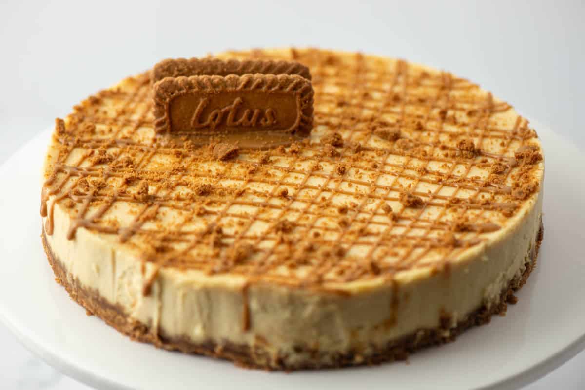 Front 45 degree view of a whole Biscoff Cookie Butter Cheesecake