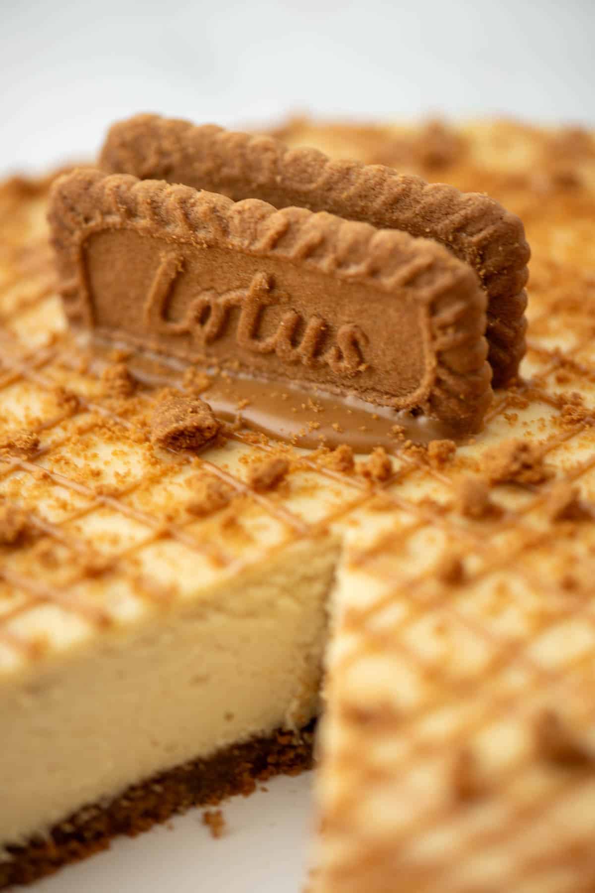 Overhead partial view of Biscoff Cookie Butter cheesecake with a piece cut out of it