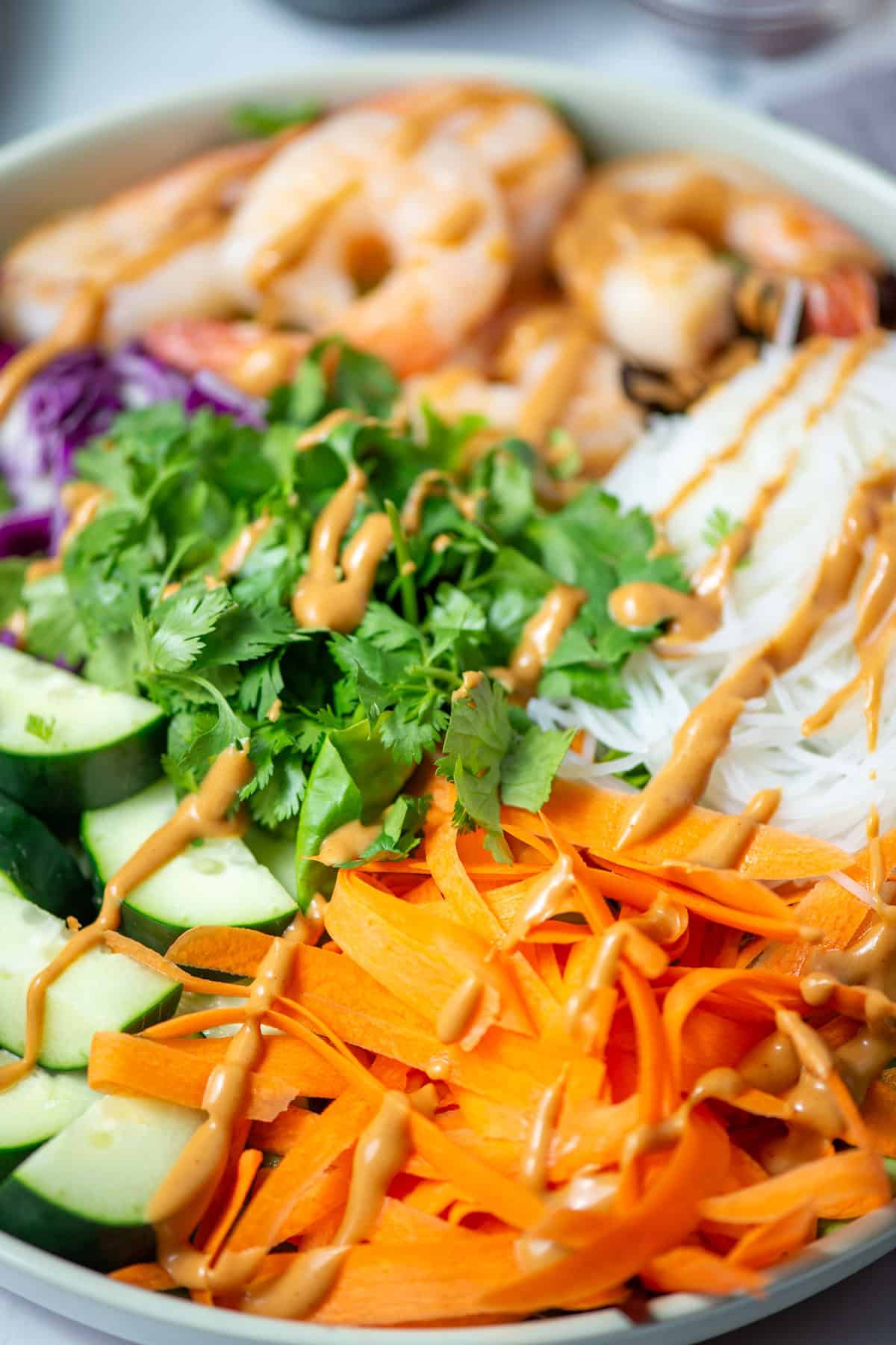 Close up photo of Spring Roll Salad: shrimp, rice stick noodles, carrots, cucumbers, cabbage, cilantro and lettuce topped with peanut dressing