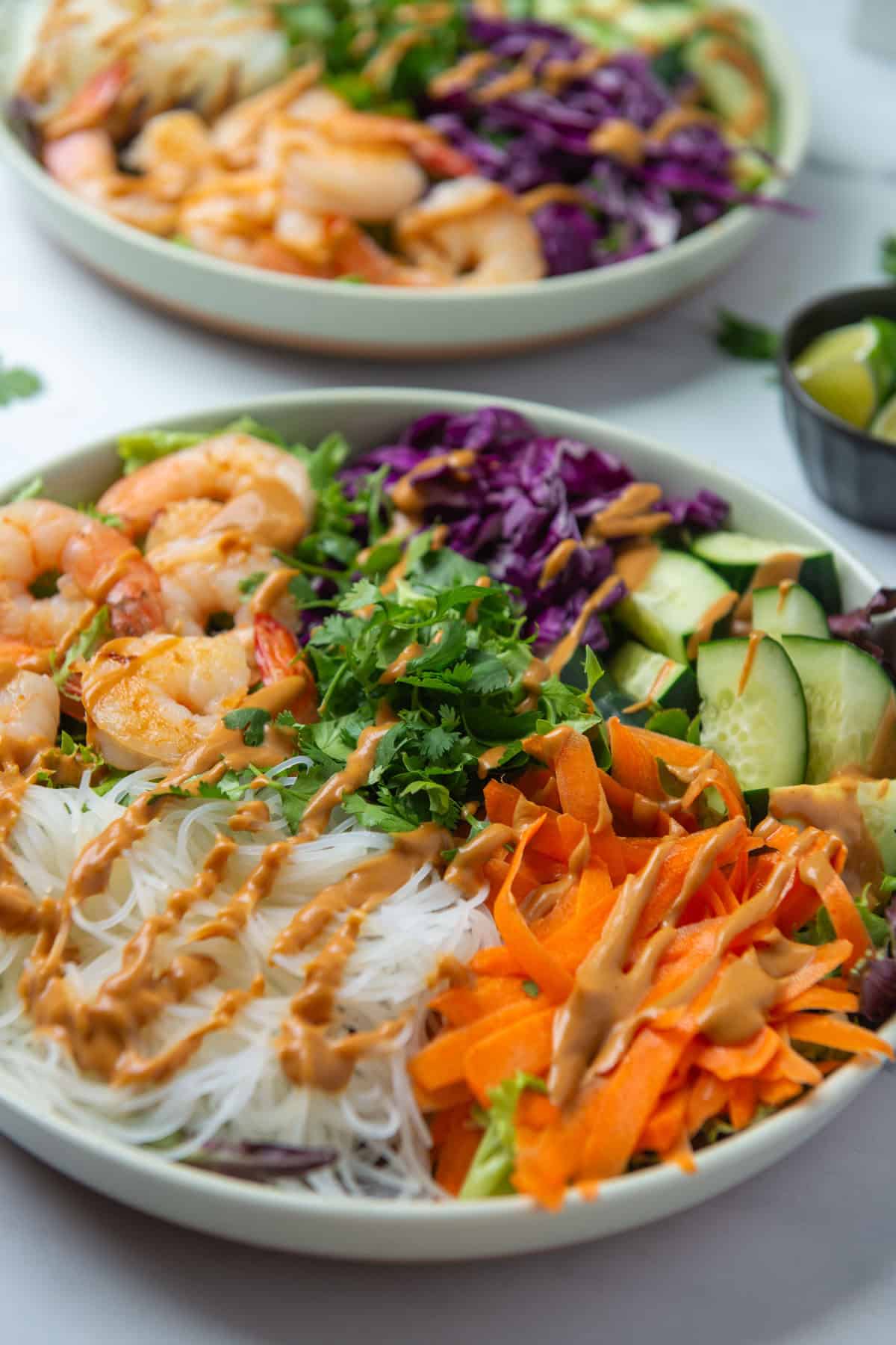Angled view of entree size plate of Spring Roll Salad drizzled with peanut dressing, next to a small bowl of limes and another plate of Spring Roll Salad