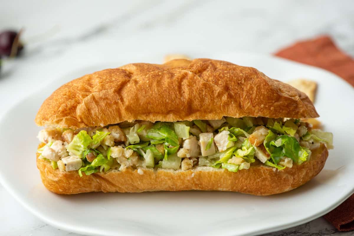 Side view of a whole, uncut chicken caesar salad sandwich on a white plate