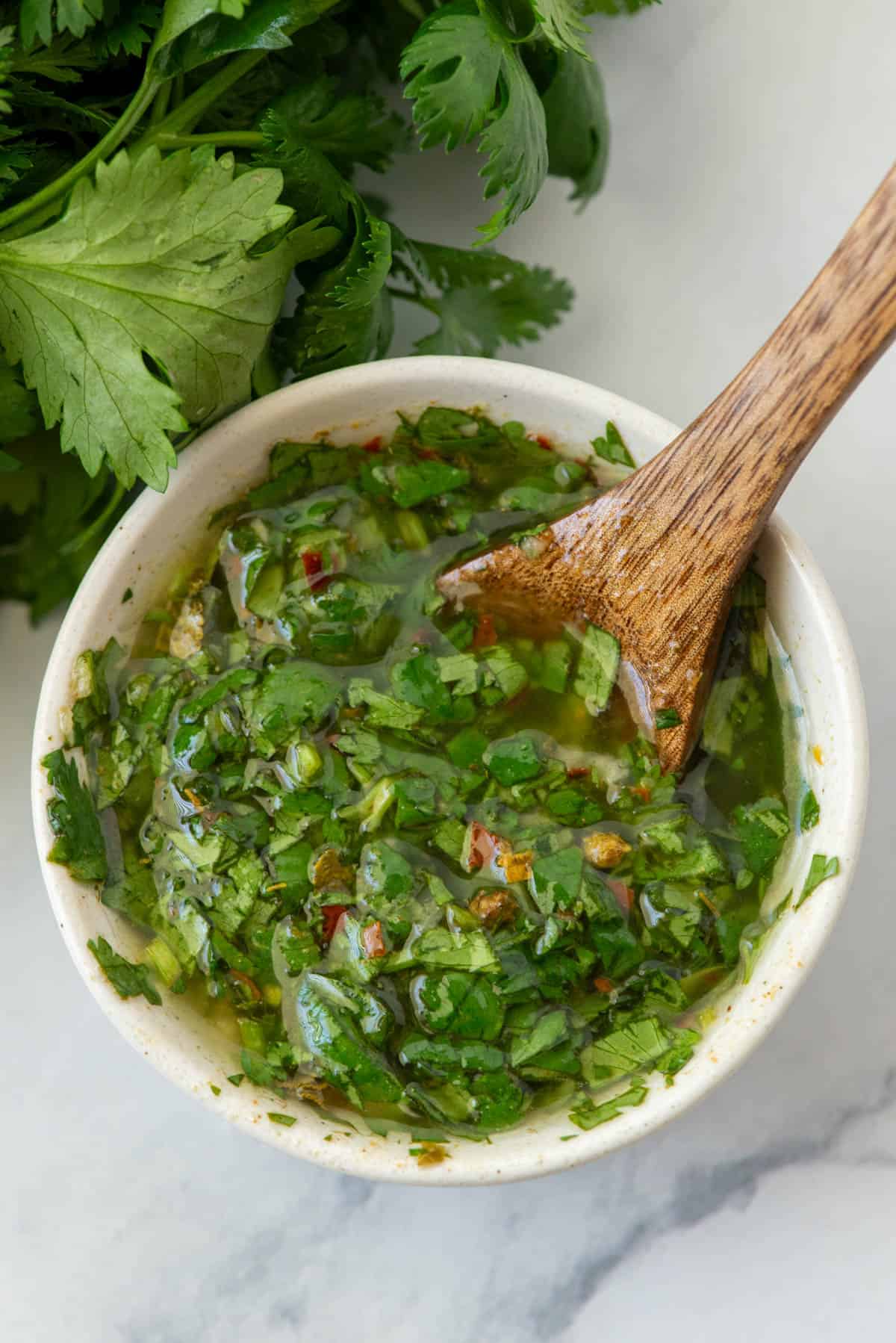 Bowl of cilantro chimichurri with a spoon sticking out in front of fresh cilantro