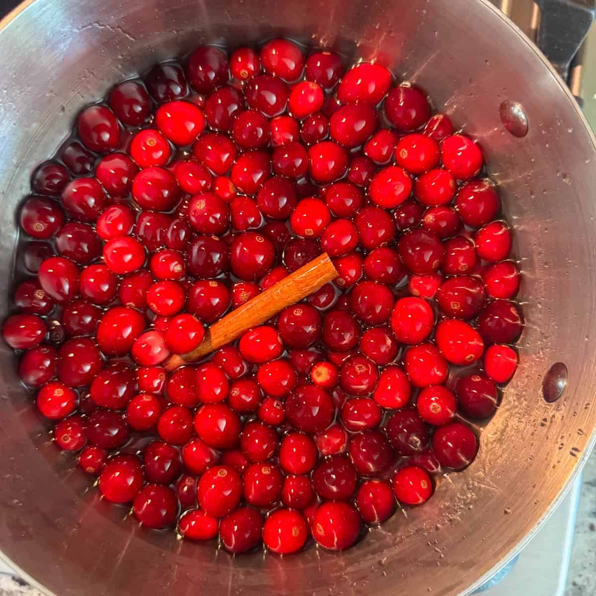 Cranberries and a cinnamon stick in a pot covered with water, orange juice and Grand Marnier