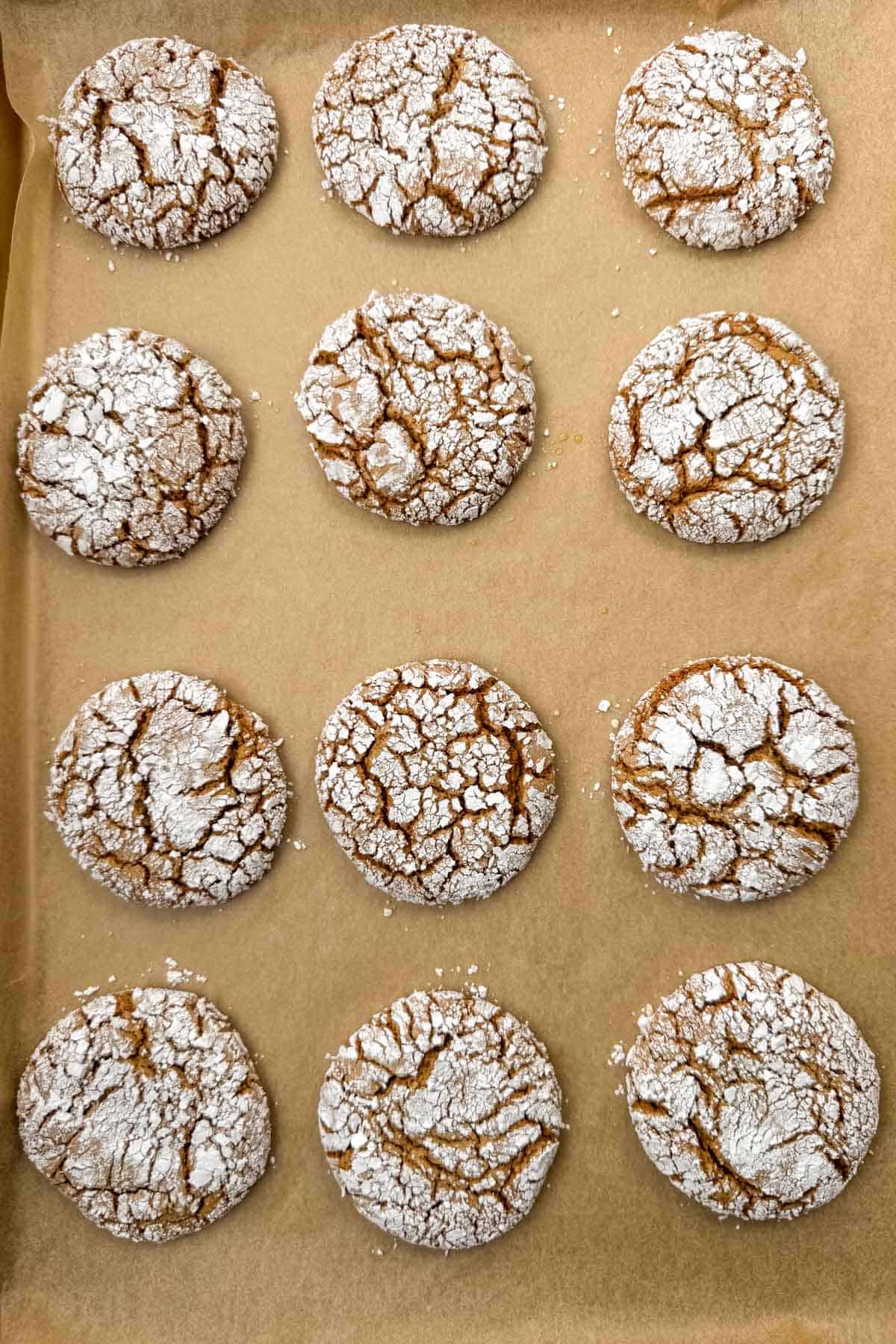 Baked gingerbread crinkle cookies cooling on a baking sheet lined with parchment paper