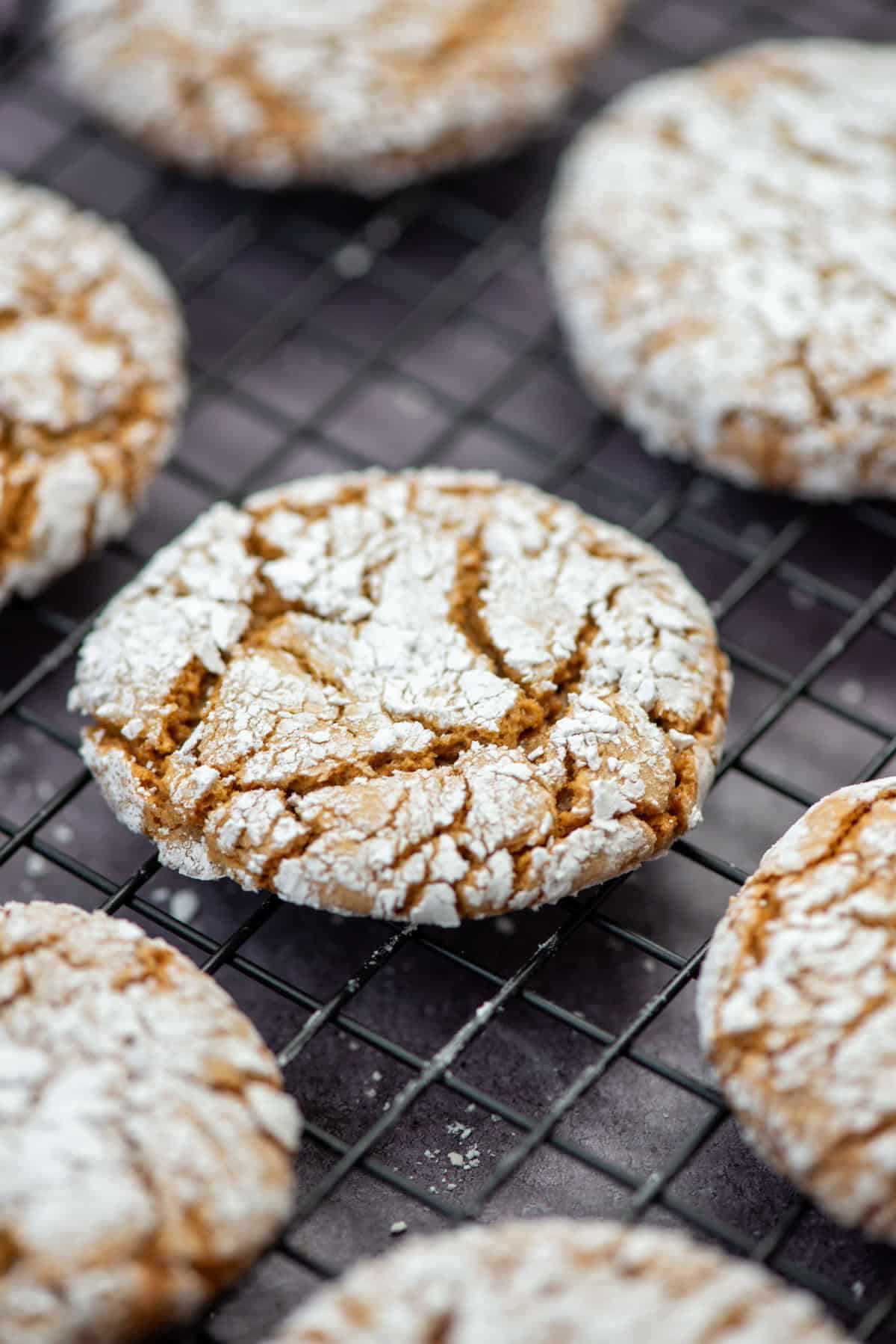 Overhead photo of gingerbread crinkle cookies cooling on a baking sheet