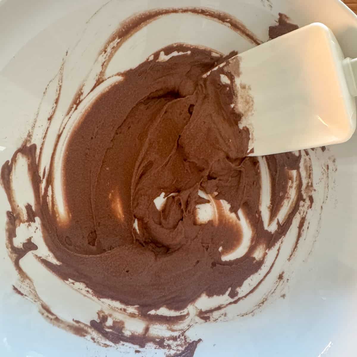 First step of making chocolate protein powder balls: mix protein powder and water together in a mixing bowl