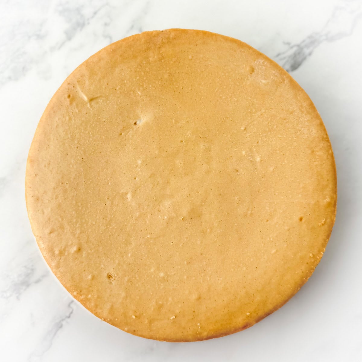 Overhead view of a plain, undecorated peanut butter and jelly cheesecake